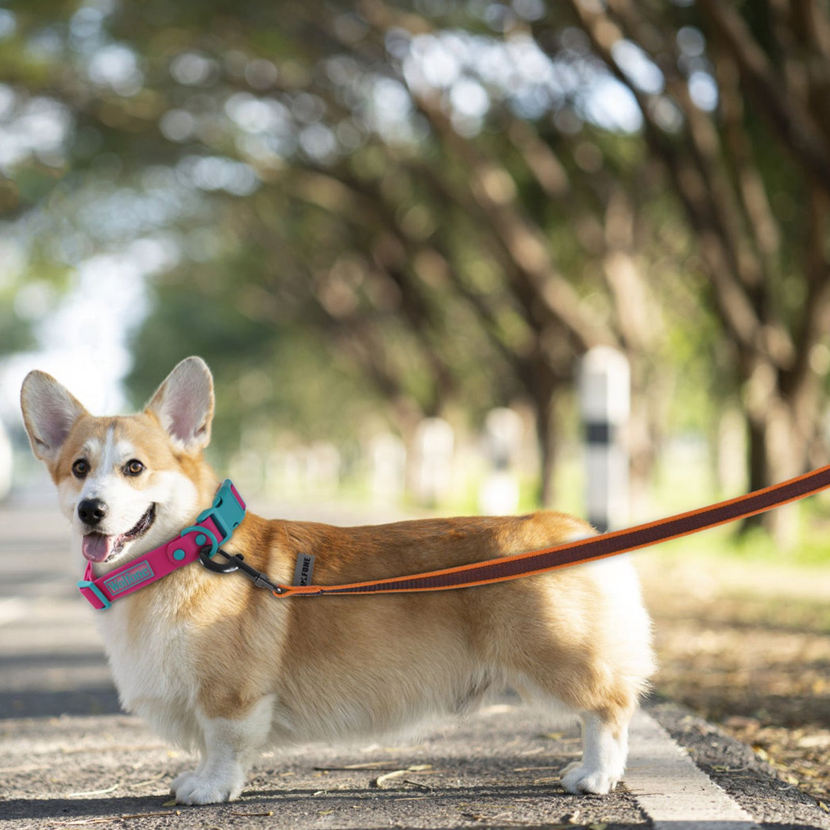 Coleira para Cães de 1.5M, 2M, 3M, 15M, 10M, 5 Metros, de Látex e Seda, Leve e C