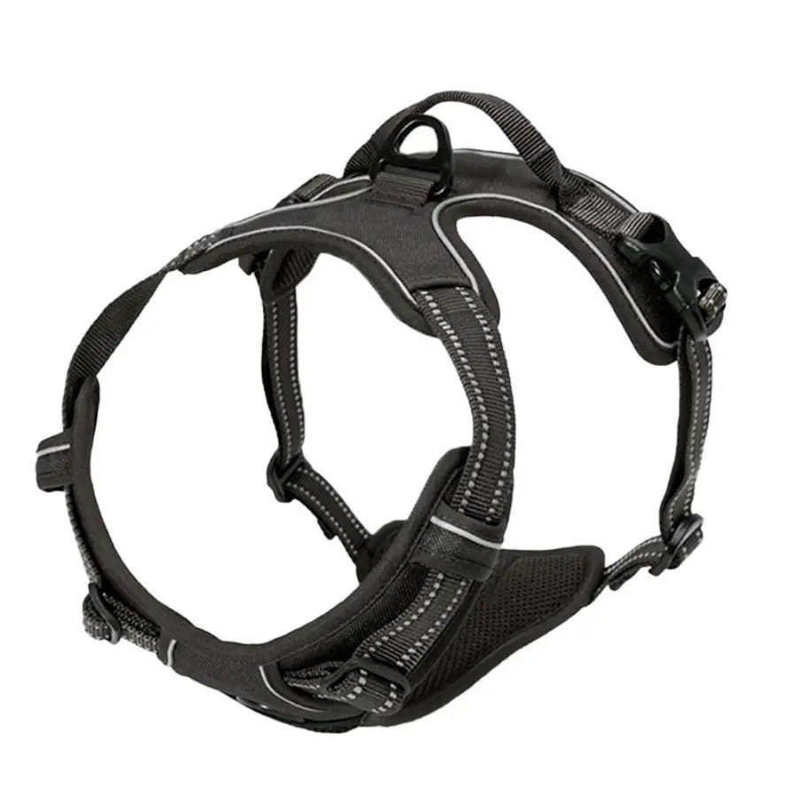 Coleira para cães, coletes grandes, coleira, pet shop, tudo para cães, acessório