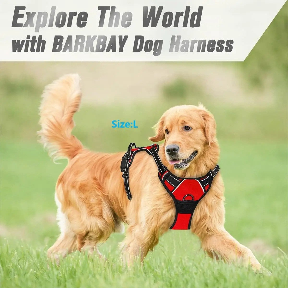 Coleira para cães, coletes grandes, coleira, pet shop, tudo para cães, acessório